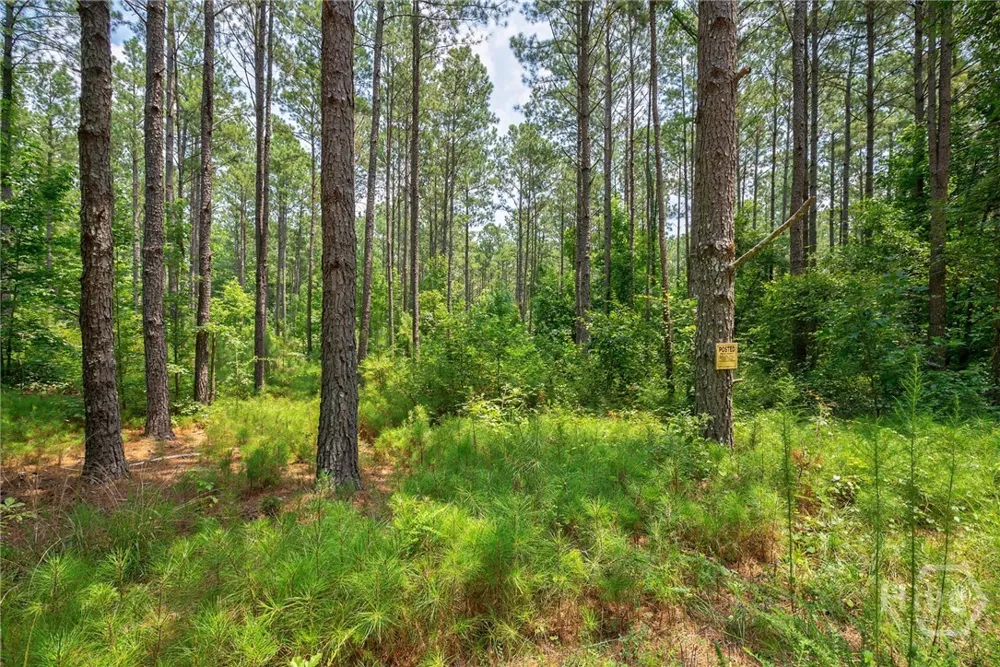 Jabez Poyner Road Carlton, GA 30627