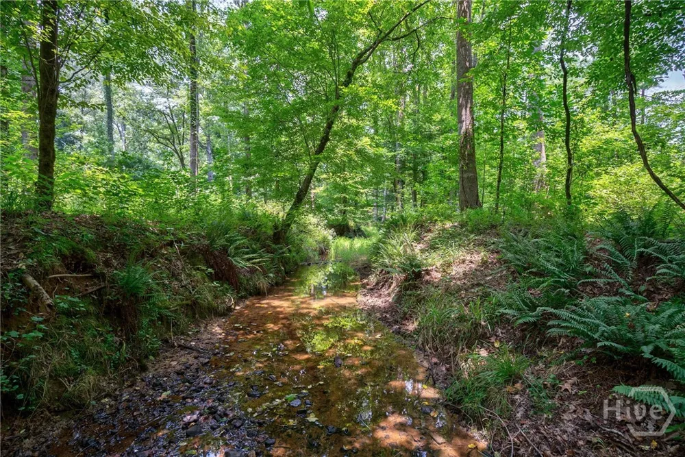 Jabez Poyner Road Carlton, GA 30627