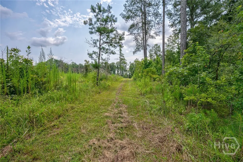 Jabez Poyner Road Carlton, GA 30627