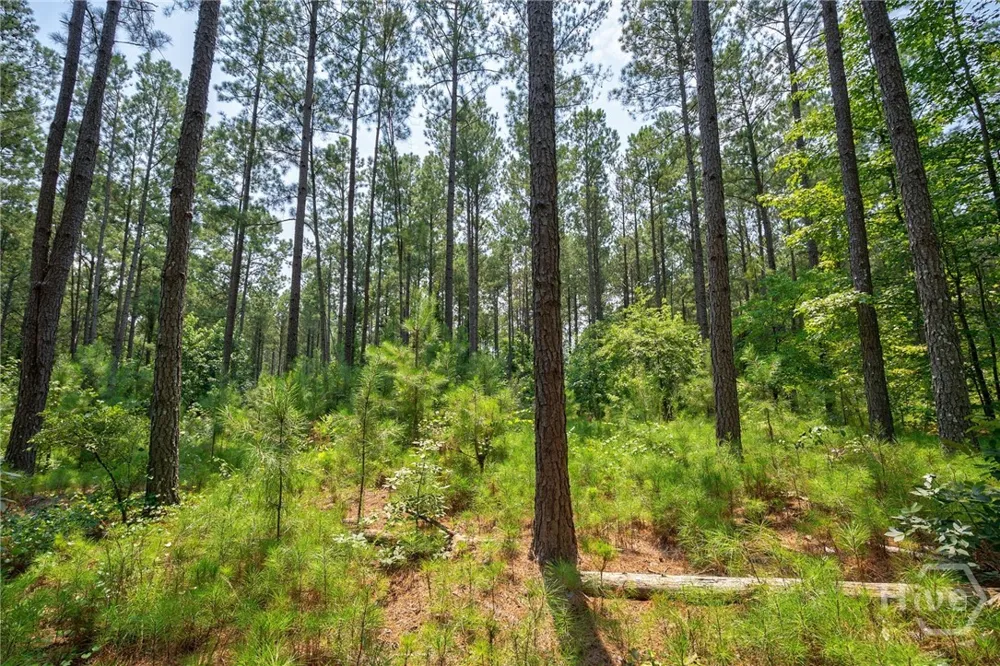 Jabez Poyner Road Carlton, GA 30627