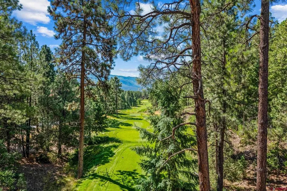 103 Glacier Cliff Drive Durango, CO 81301