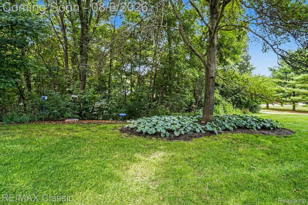 8655 Pettysville Road Hamburg Township, MI 48169