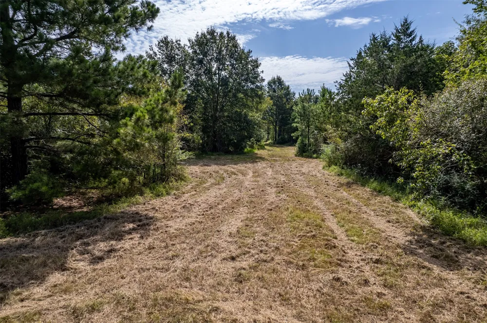 County Road 2115 Troup, TX 75789