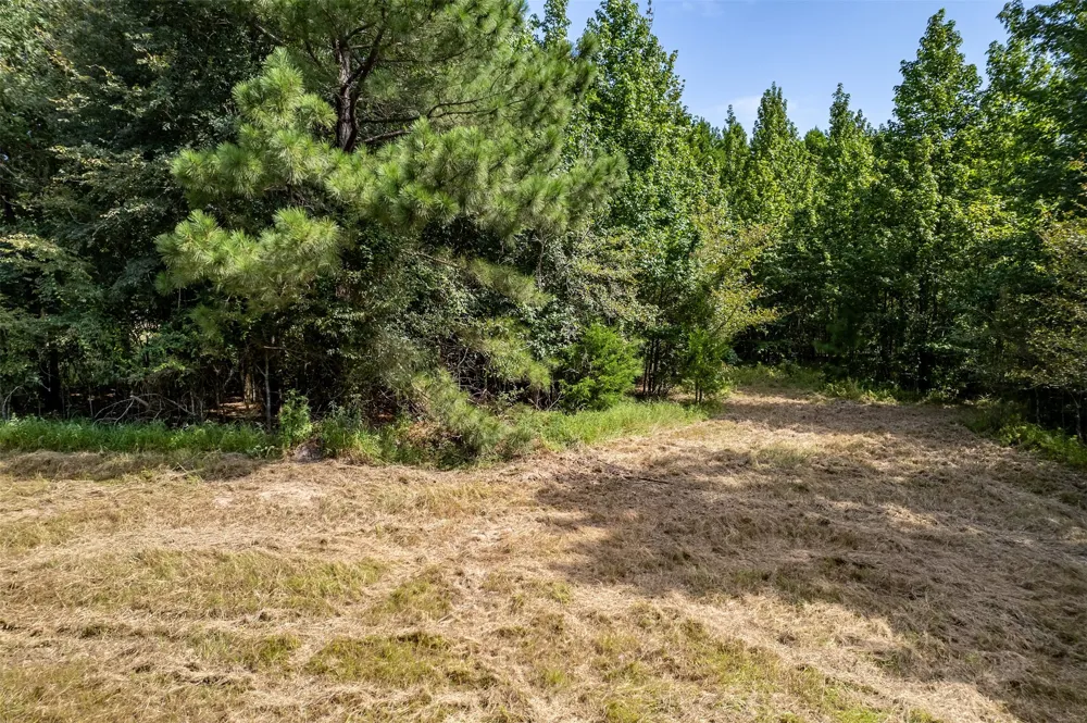 County Road 2115 Troup, TX 75789