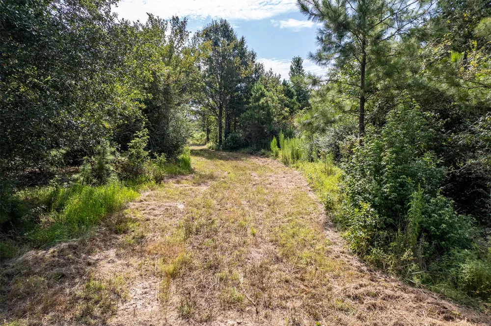 County Road 2115 Troup, TX 75789