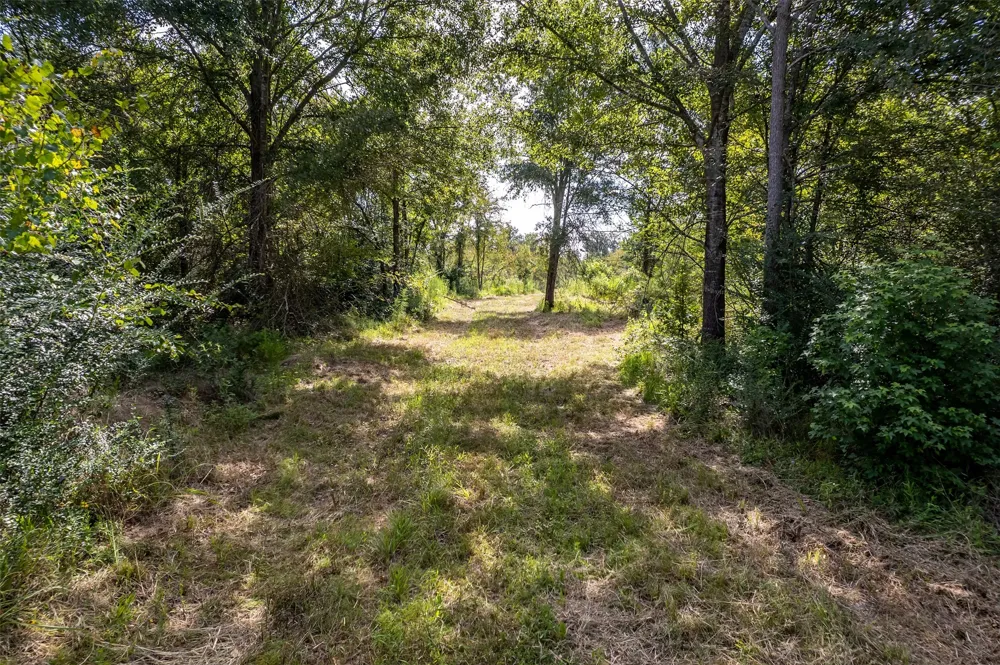County Road 2115 Troup, TX 75789