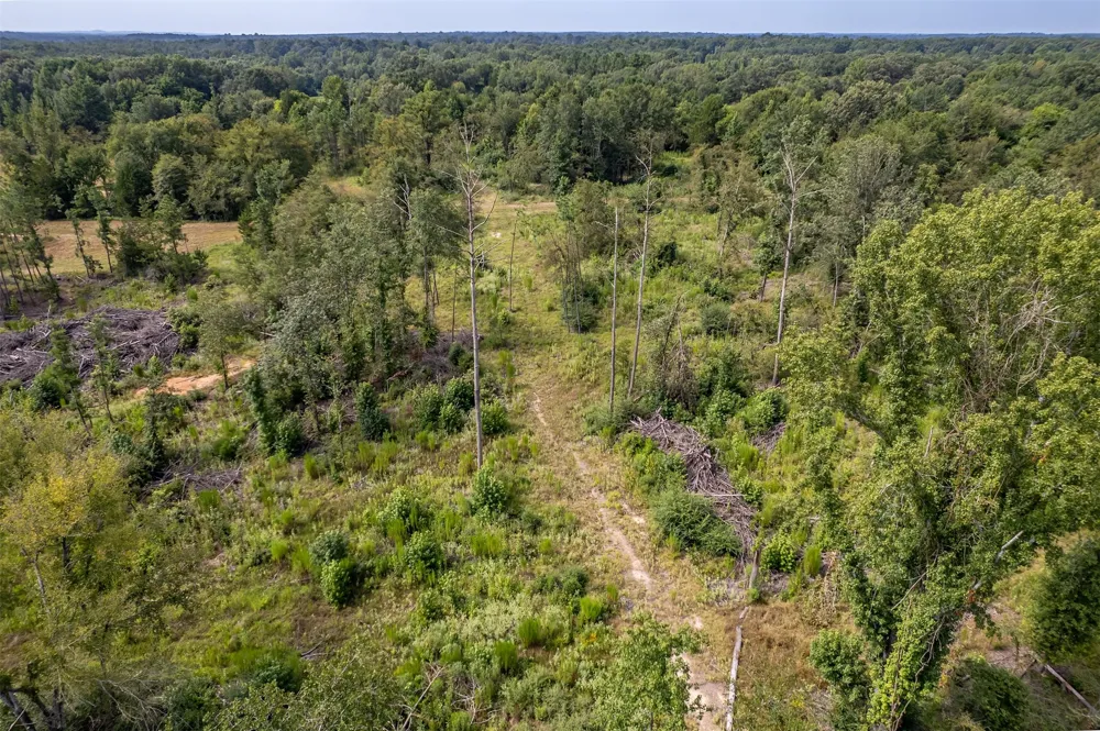 County Road 2115 Troup, TX 75789