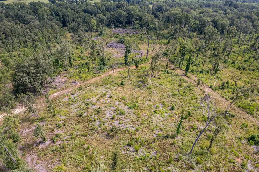 County Road 2115 Troup, TX 75789