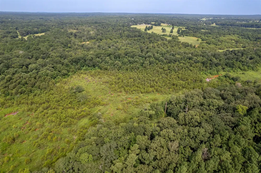 County Road 2115 Troup, TX 75789