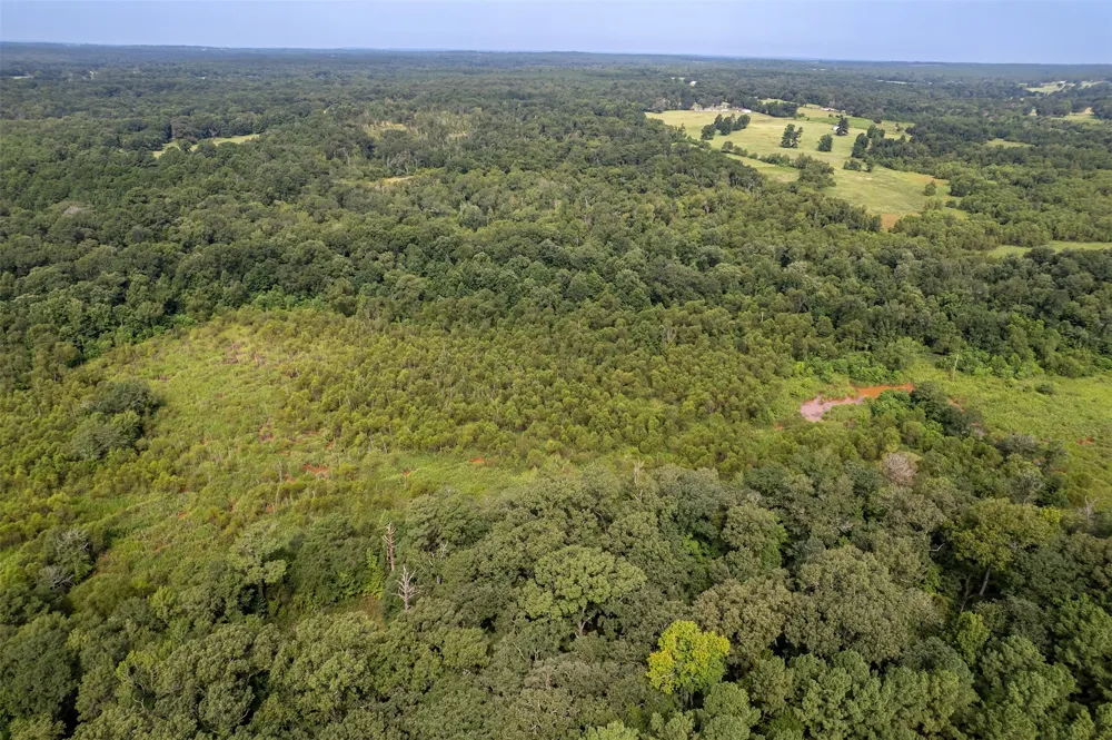 County Road 2115 Troup, TX 75789