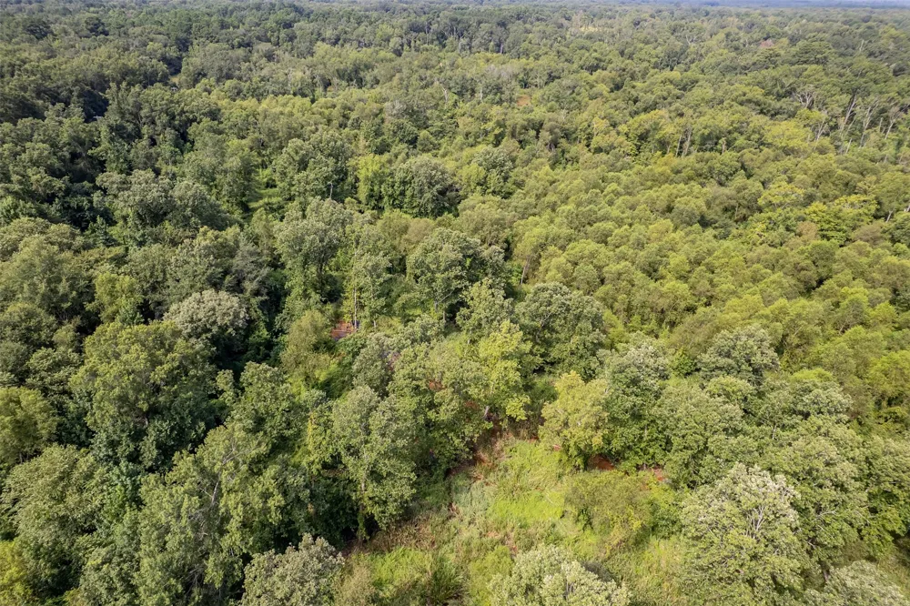 County Road 2115 Troup, TX 75789