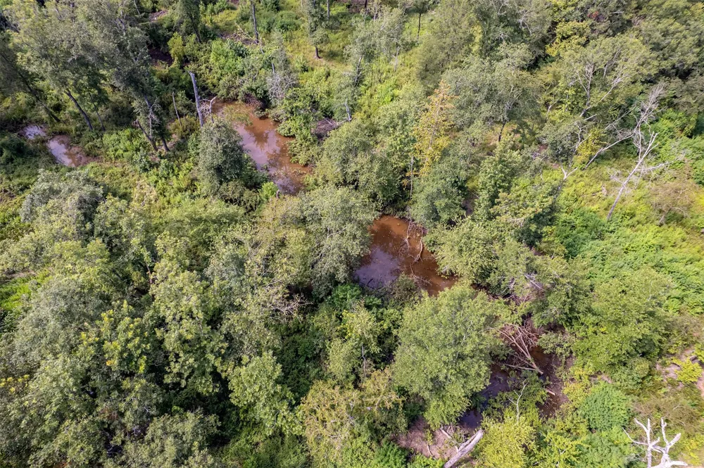 County Road 2115 Troup, TX 75789