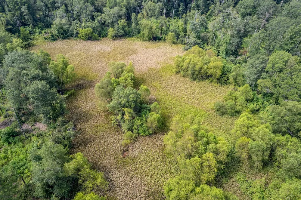 County Road 2115 Troup, TX 75789
