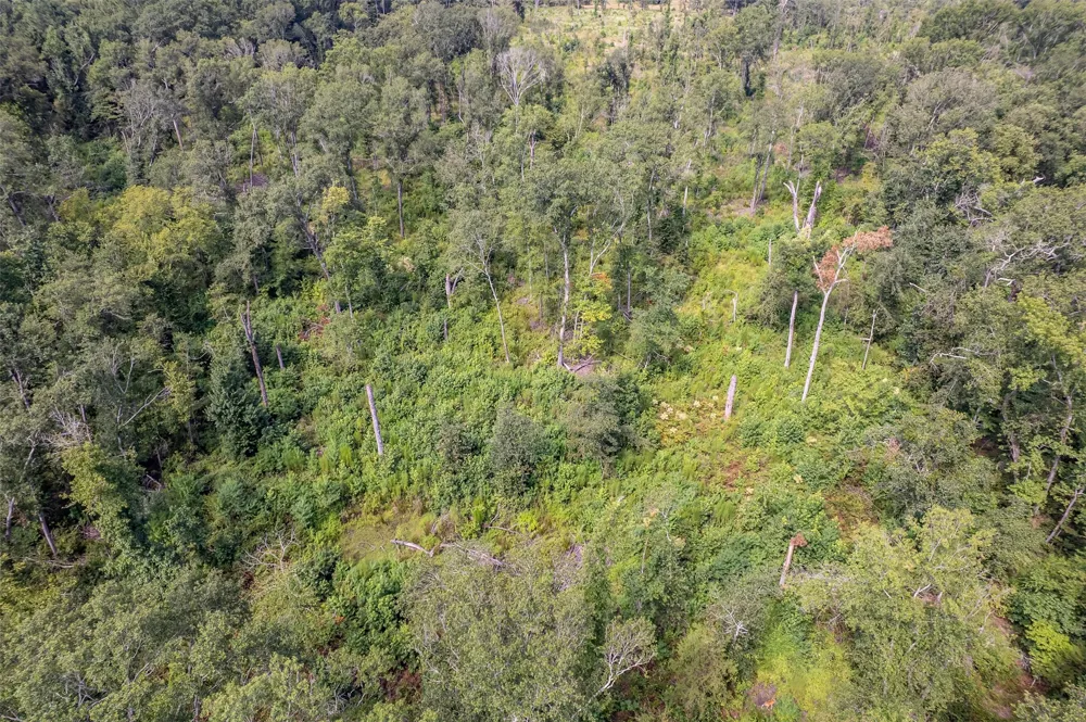 County Road 2115 Troup, TX 75789