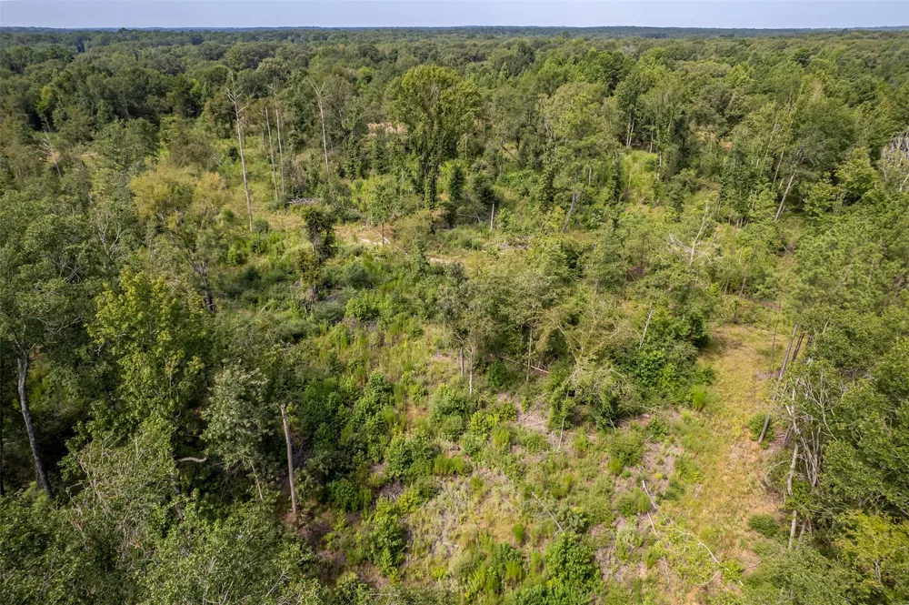 County Road 2115 Troup, TX 75789