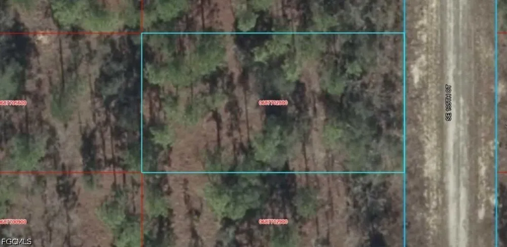 SW 135th Court Dunnellon, FL 34431