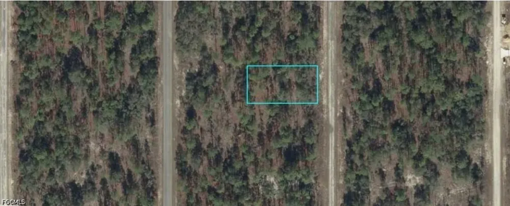 SW 135th Court Dunnellon, FL 34431