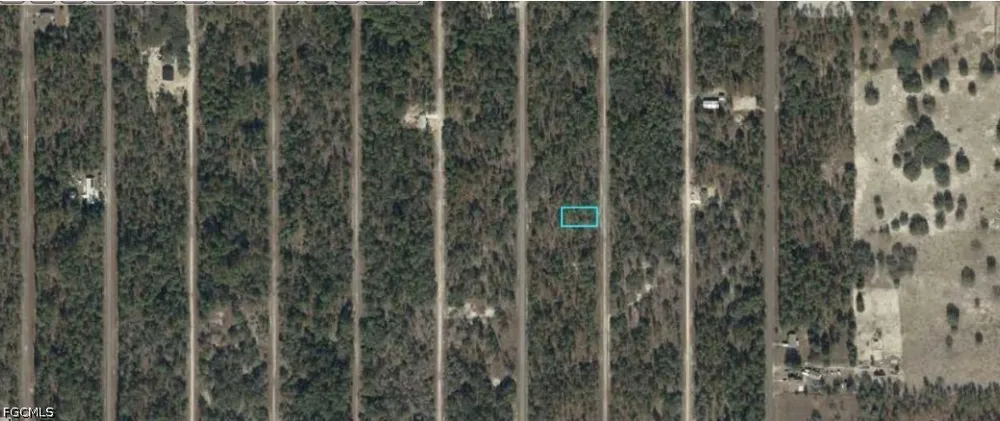 SW 135th Court Dunnellon, FL 34431