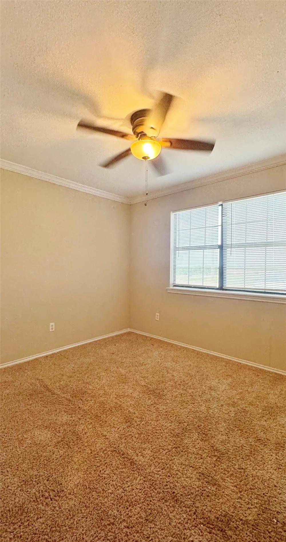 304 Boot Ranch Road Trinidad, TX 75163