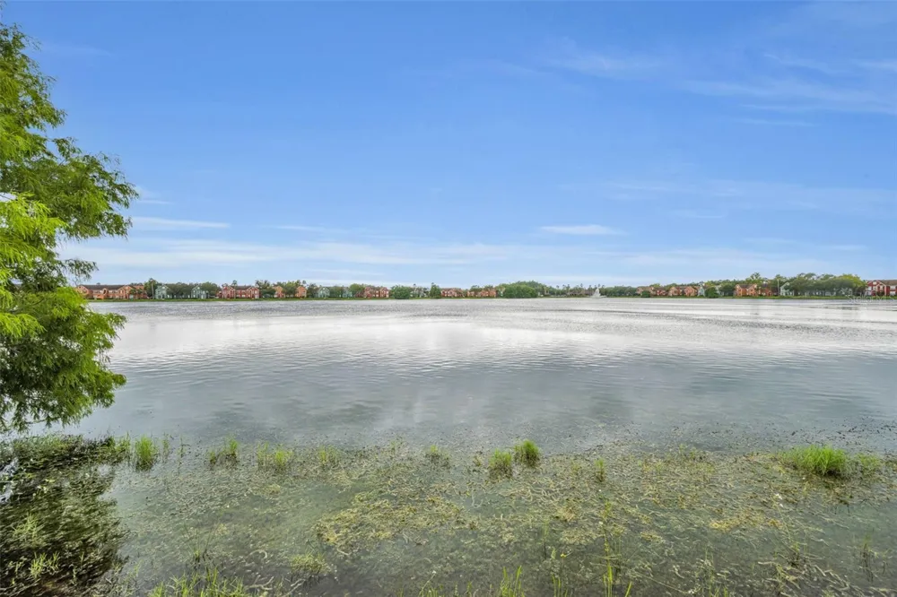 9078 LAKE CHASE ISLAND WAY #9078 Tampa, FL 33626