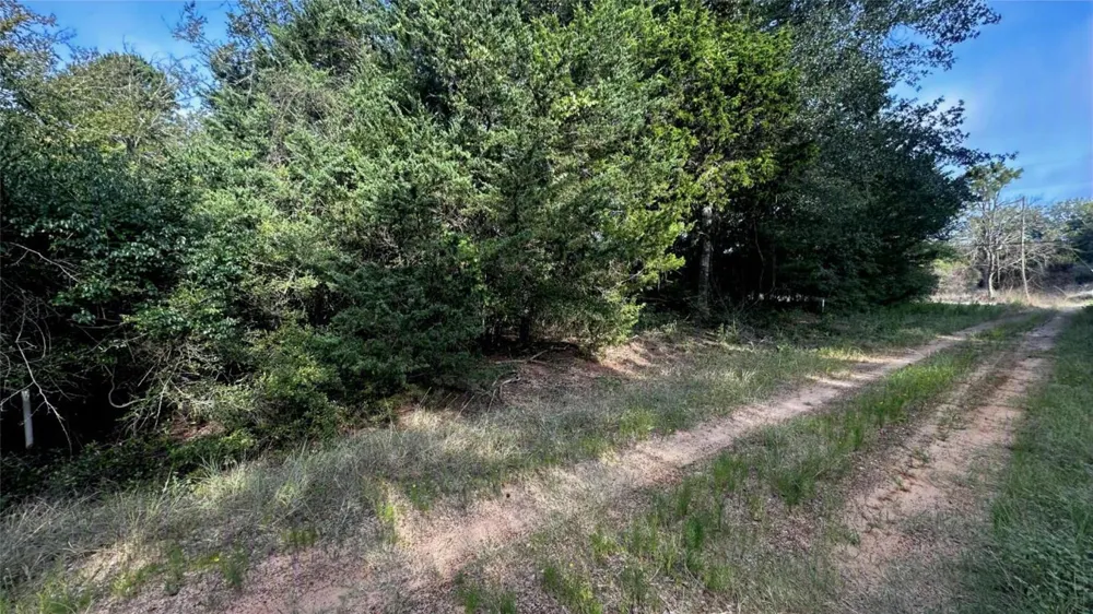 Overhill Circle Hilltop Lakes, TX 77871