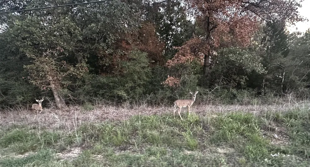 Overhill Circle Hilltop Lakes, TX 77871