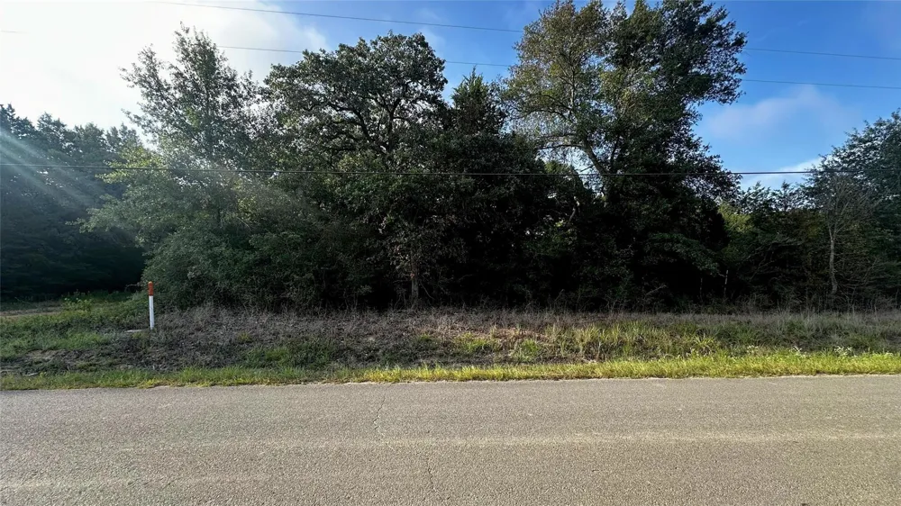 Overhill Circle Hilltop Lakes, TX 77871