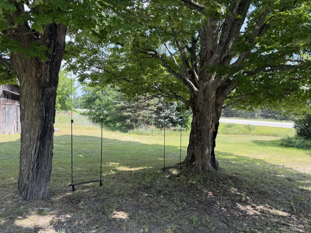 18258 Pleasanton Highway Bear Lake, MI 49614