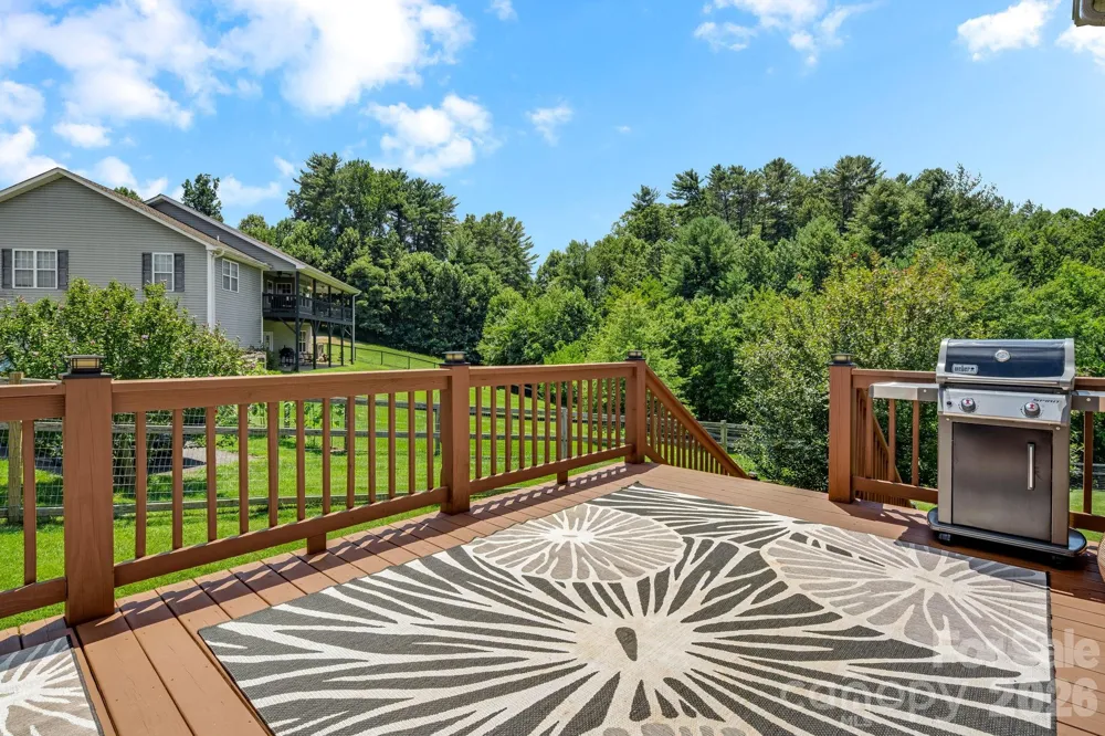 78 Bear Creek Hills Drive Leicester, NC 28748