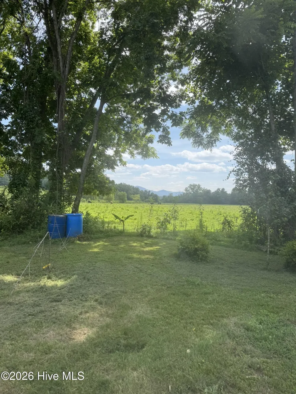 16 Waldorf Place Brasstown, NC 28902