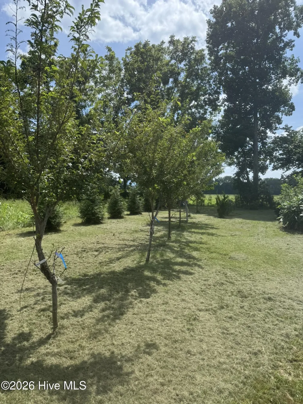 16 Waldorf Place Brasstown, NC 28902