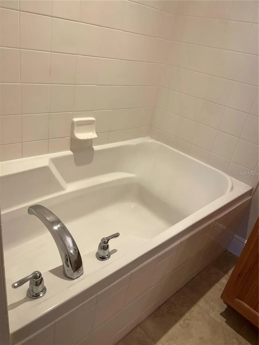 17542 DORIS STREET Montverde, FL 34756