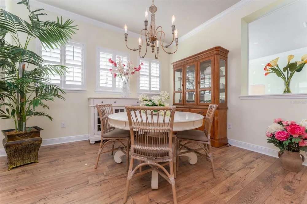 14008 SWALLOW HILL DRIVE Lithia, FL 33547