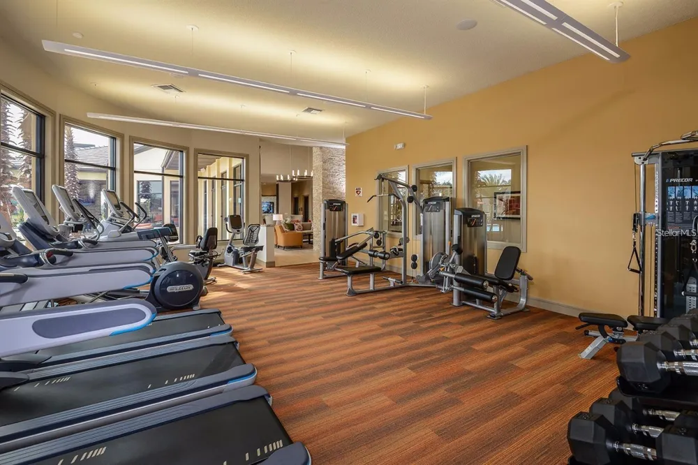 14008 SWALLOW HILL DRIVE Lithia, FL 33547