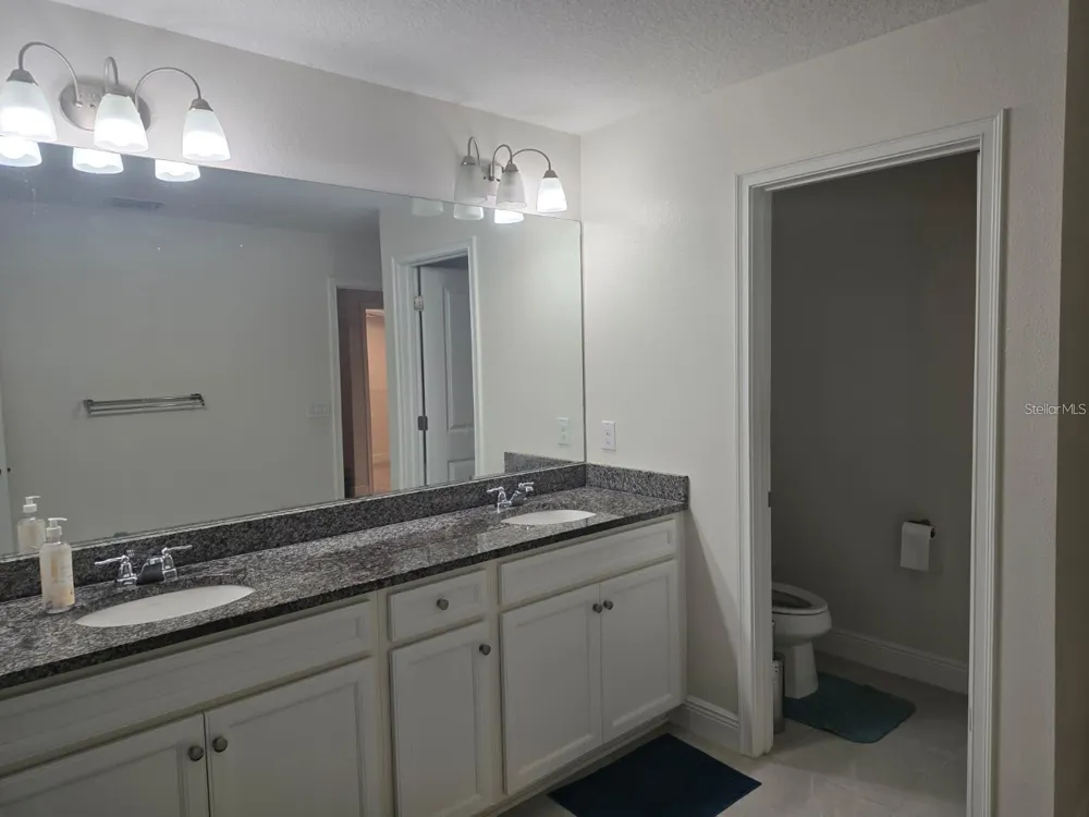 14234 DAMSELFLY DRIVE Tampa, FL 33625