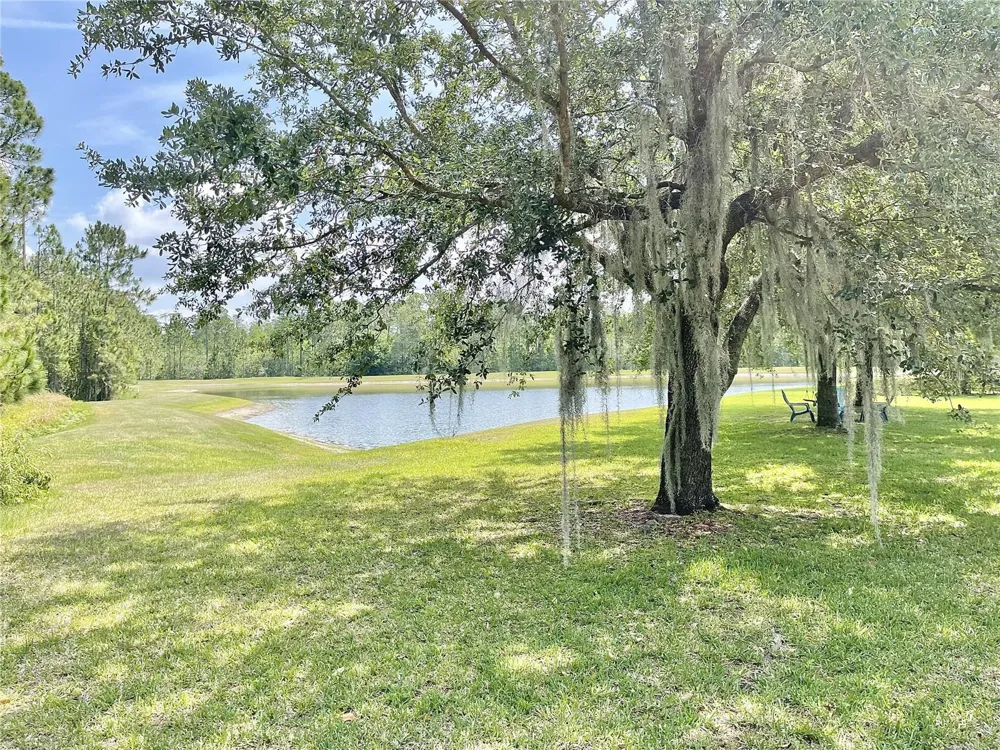 8321 GREENBANK BOULEVARD Windermere, FL 34786