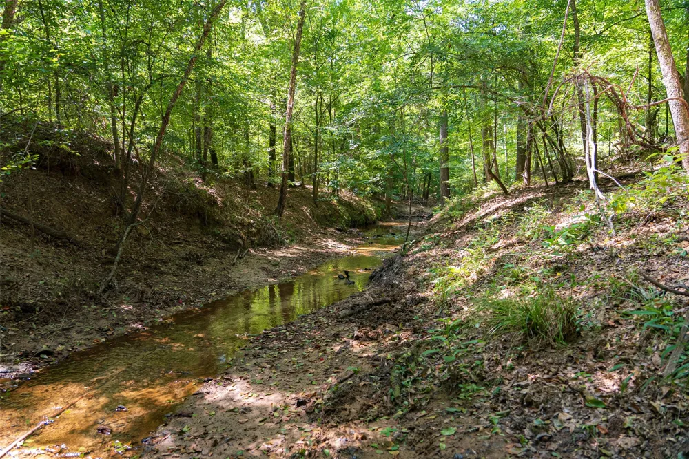 Tom Eubanks Rd Gladewater, TX 75662