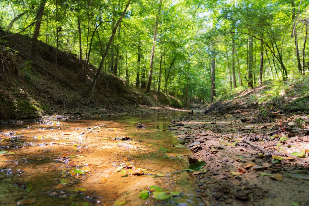 Tom Eubanks Rd Gladewater, TX 75662