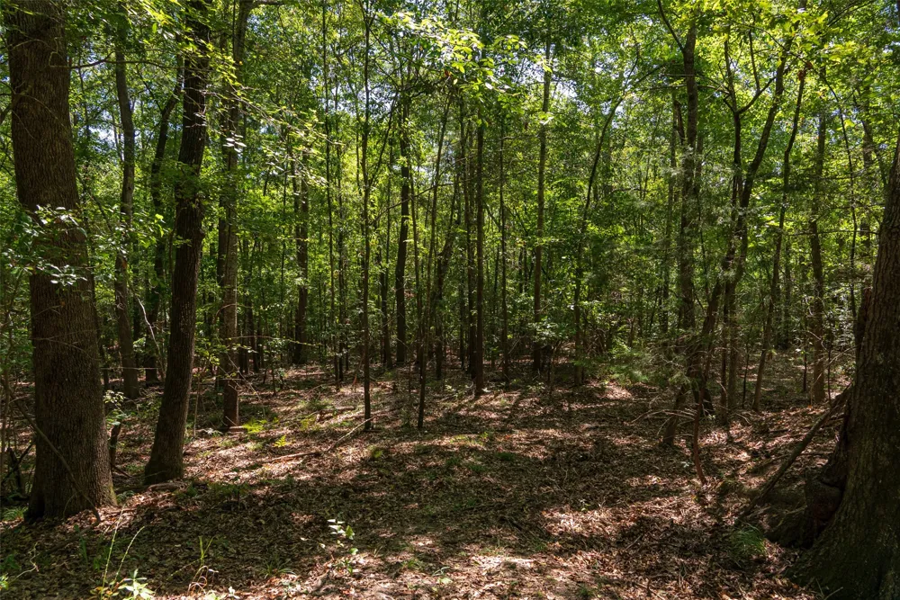 Tom Eubanks Rd Gladewater, TX 75662