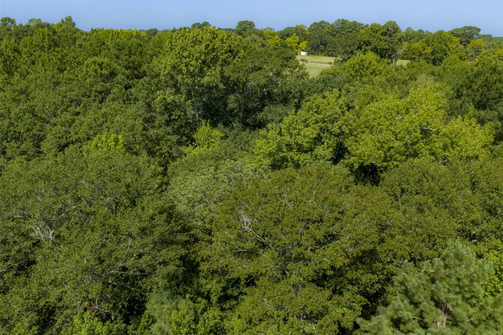 Tom Eubanks Rd Gladewater, TX 75662