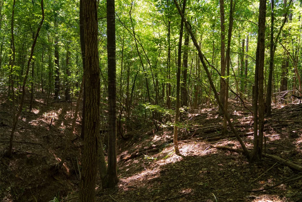 Tom Eubanks Rd Gladewater, TX 75662
