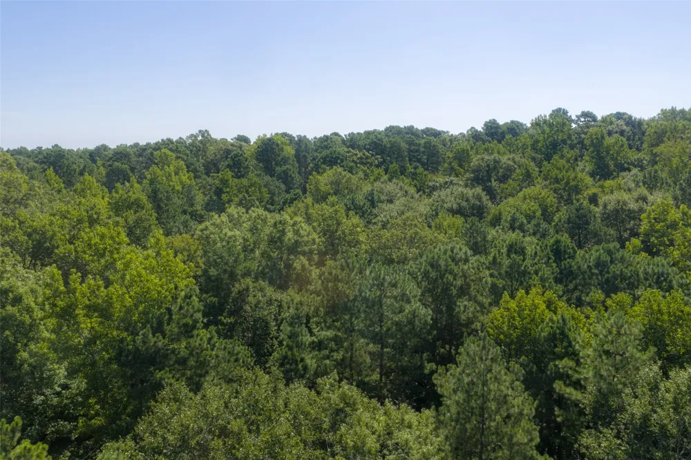 Tom Eubanks Rd Gladewater, TX 75662