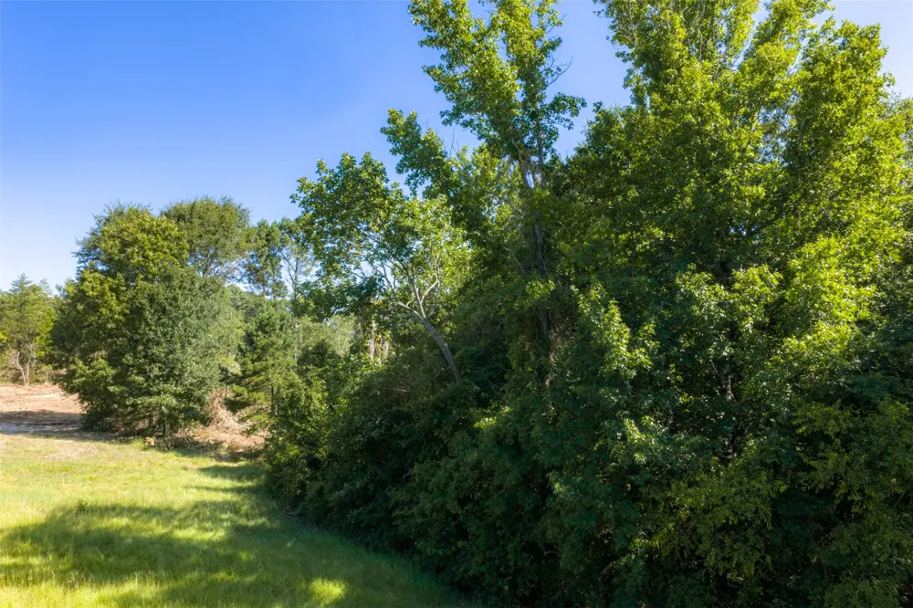 Tom Eubanks Rd Gladewater, TX 75662