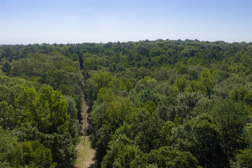 Tom Eubanks Rd Gladewater, TX 75662
