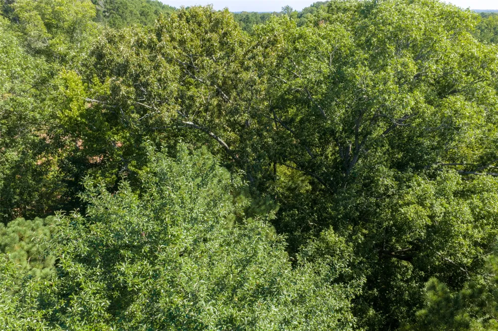 Tom Eubanks Rd Gladewater, TX 75662