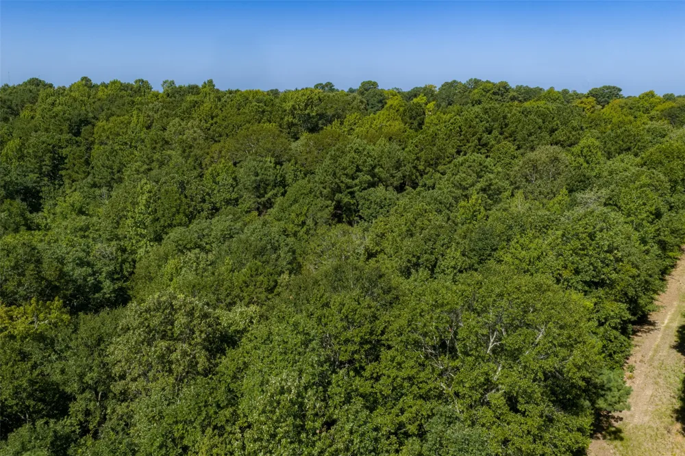 Tom Eubanks Rd Gladewater, TX 75662