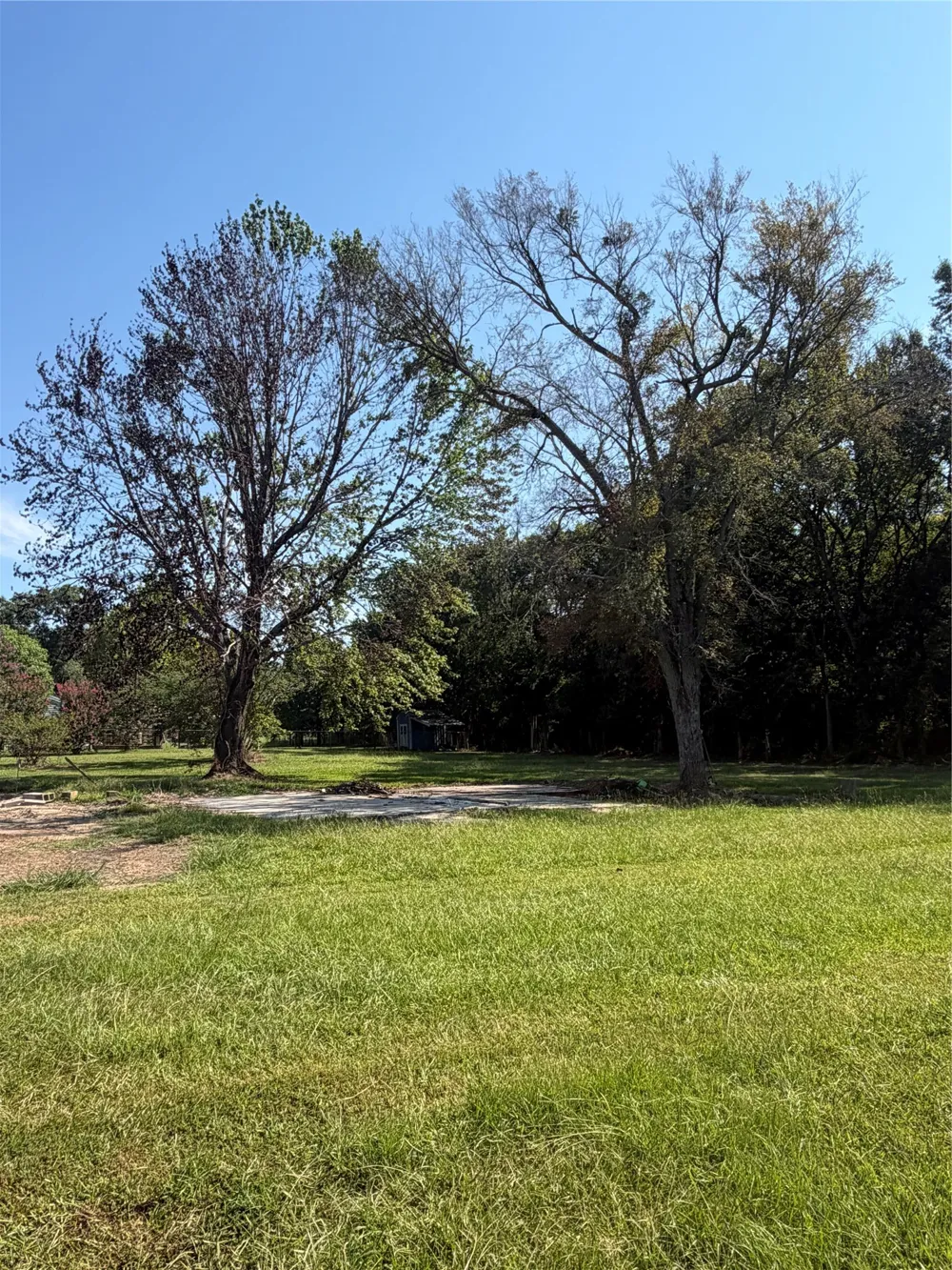 595 Fm 911 S Avery, TX 75554
