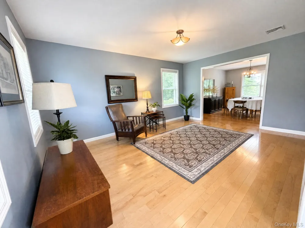 11 Old Dominion Road Blooming Grove, NY 10914