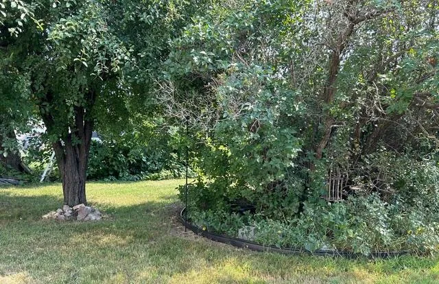 206 E 3rd Street Starbuck, MN 56381
