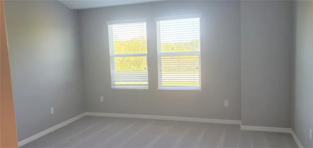 29821 SOUTHWELL LANE Wesley Chapel, FL 33543